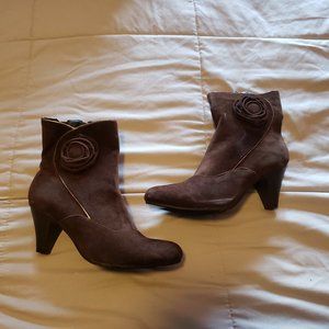 Beacons Brown Velvet With Bow 6WW